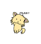 チワワのコハちゃん（個別スタンプ：18）