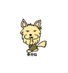 チワワのコハちゃん（個別スタンプ：22）