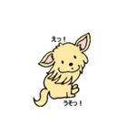 チワワのコハちゃん（個別スタンプ：24）
