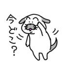 犬！毎日が楽しい犬！（個別スタンプ：8）