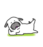 犬！毎日が楽しい犬！（個別スタンプ：9）
