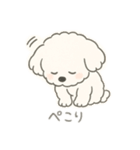 もふもふプードルくん<WH> と なかまたち（個別スタンプ：2）