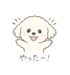 もふもふプードルくん<WH> と なかまたち（個別スタンプ：5）