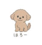 もふもふプードルくん<WH> と なかまたち（個別スタンプ：7）
