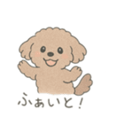 もふもふプードルくん<WH> と なかまたち（個別スタンプ：8）
