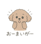 もふもふプードルくん<WH> と なかまたち（個別スタンプ：9）