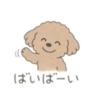もふもふプードルくん<WH> と なかまたち（個別スタンプ：10）