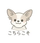 もふもふプードルくん<WH> と なかまたち（個別スタンプ：11）