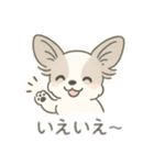 もふもふプードルくん<WH> と なかまたち（個別スタンプ：12）