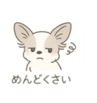 もふもふプードルくん<WH> と なかまたち（個別スタンプ：14）