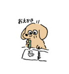 生活するあしのみじかいいぬ（個別スタンプ：11）