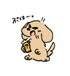 生活するあしのみじかいいぬ（個別スタンプ：20）