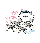 バードウォッチャーCATS（個別スタンプ：4）