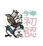 バードウォッチャーCATS（個別スタンプ：29）