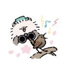 バードウォッチャーCATS（個別スタンプ：33）