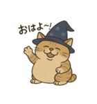 クセかわ魔法ねこ（個別スタンプ：1）