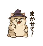 クセかわ魔法ねこ（個別スタンプ：13）