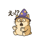 クセかわ魔法ねこ（個別スタンプ：17）