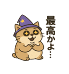 クセかわ魔法ねこ（個別スタンプ：23）