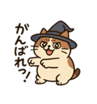 クセかわ魔法ねこ（個別スタンプ：24）