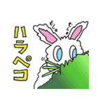 アンゴラうさぎのニト（個別スタンプ：24）