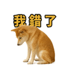 柴犬シリーズ〜第2弾〜（個別スタンプ：2）