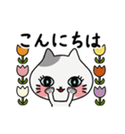動く！子猫たち(背景なしのシンプルver.)（個別スタンプ：2）