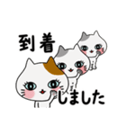 動く！子猫たち(背景なしのシンプルver.)（個別スタンプ：19）