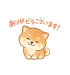 柴犬のしば太郎（個別スタンプ：1）