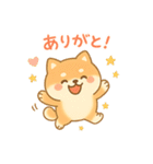 柴犬のしば太郎（個別スタンプ：3）