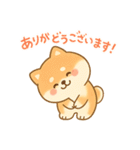 柴犬のしば太郎（個別スタンプ：8）