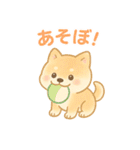 柴犬のしば太郎（個別スタンプ：10）
