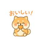 柴犬のしば太郎（個別スタンプ：11）