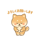 柴犬のしば太郎（個別スタンプ：14）