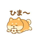柴犬のしば太郎（個別スタンプ：16）