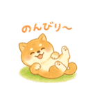 柴犬のしば太郎（個別スタンプ：19）