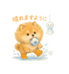 柴犬のしば太郎（個別スタンプ：22）