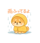 柴犬のしば太郎（個別スタンプ：24）