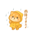 柴犬のしば太郎（個別スタンプ：27）