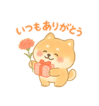 柴犬のしば太郎（個別スタンプ：34）