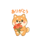 柴犬のしば太郎（個別スタンプ：36）