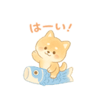 柴犬のしば太郎（個別スタンプ：37）