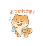 柴犬のしば太郎（個別スタンプ：39）