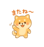 柴犬のしば太郎（個別スタンプ：40）