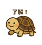かわいいリクガメたちのスタンプ（個別スタンプ：3）