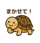 かわいいリクガメたちのスタンプ（個別スタンプ：4）