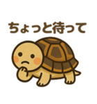 かわいいリクガメたちのスタンプ（個別スタンプ：7）