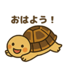 かわいいリクガメたちのスタンプ（個別スタンプ：9）