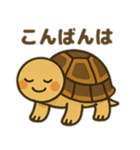 かわいいリクガメたちのスタンプ（個別スタンプ：11）