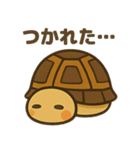 かわいいリクガメたちのスタンプ（個別スタンプ：37）